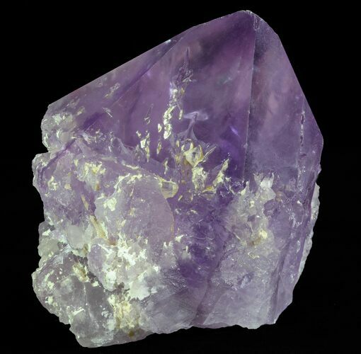 Amethyst Crystal Point - Brazil #64752